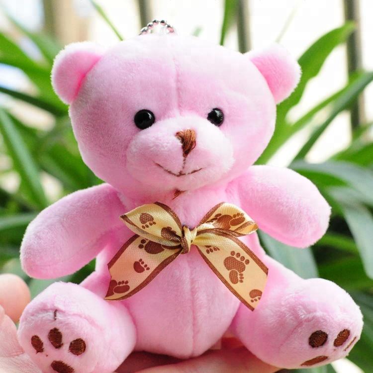 Luxury Mini Pink Teddy Bear Keychain